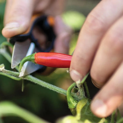 Precision 5 Inch Garden Tool