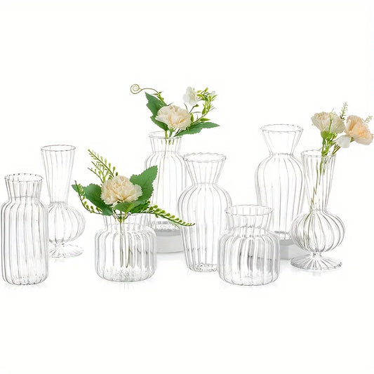 Transparent Glass Vase Set