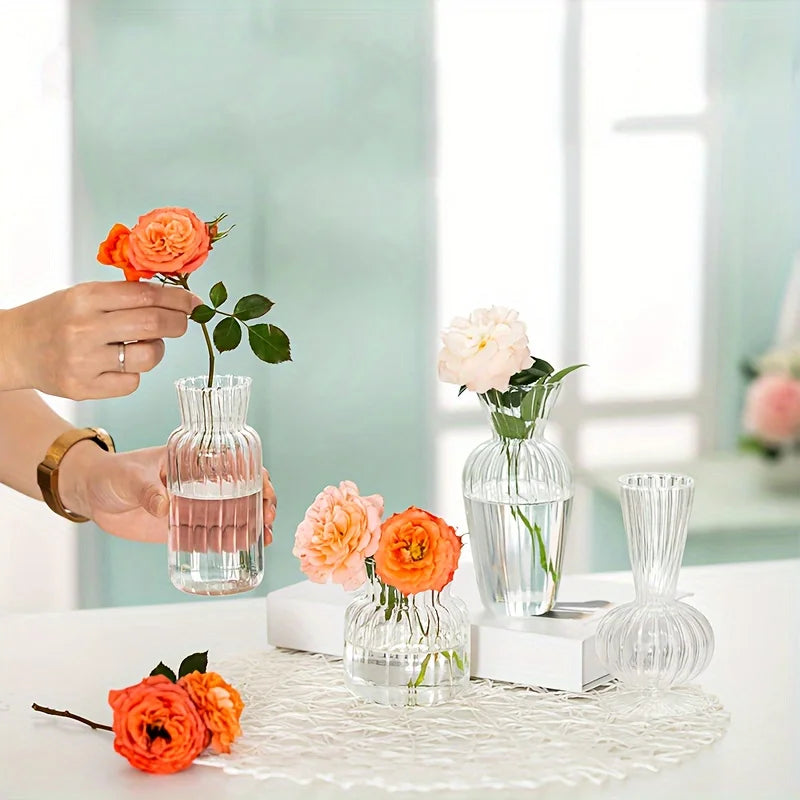 Transparent Glass Vase Set