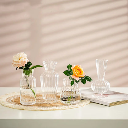 Transparent Glass Vase Set