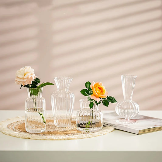 Transparent Glass Vase Set